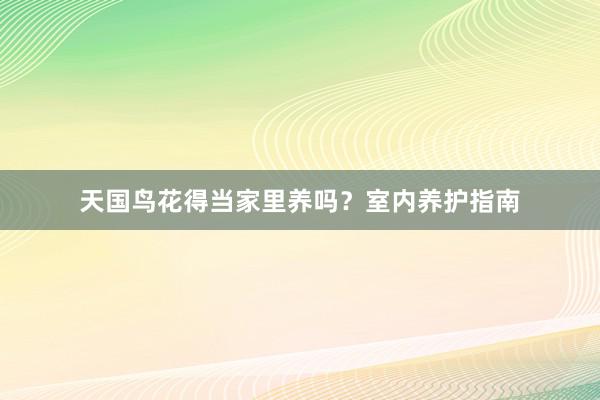 天国鸟花得当家里养吗？室内养护指南