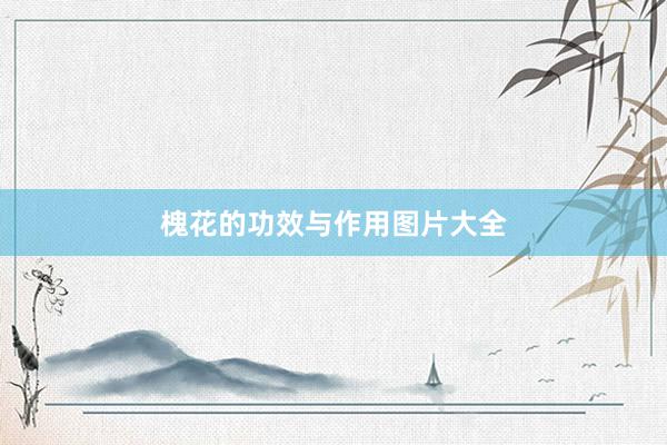 槐花的功效与作用图片大全