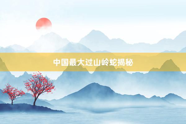 中国最大过山岭蛇揭秘