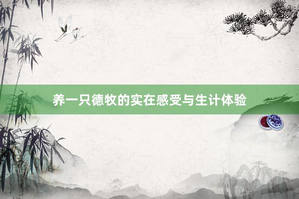 养一只德牧的实在感受与生计体验